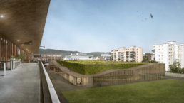 HSSP-Machbarkeitstudie-Leichtathletikhalle-Letzigrund-Architektur-Visualisierung-morph-Fussballstadion-Zürich