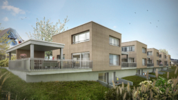 Bele-Architekten_Einfamilienhaus-Nägelistrasse-Beinwil-am-See_Aussen-morph-3D-Visualisierung