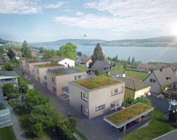 Bele-Architekten_Einfamilienhaus-Nägelistrasse-Beinwil-am-See_Luftbild-mit-Seesicht-morph-3D-Visualisierung